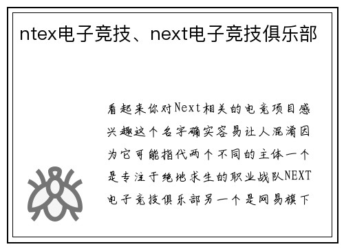 ntex电子竞技、next电子竞技俱乐部